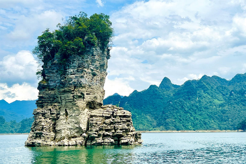 7 Best Halong Bay Cruise Program Reviews: Le Journey, La Regina, Jade Sails, Stellar of the Seas, Catherine, Grand Pioneer, and Indochine