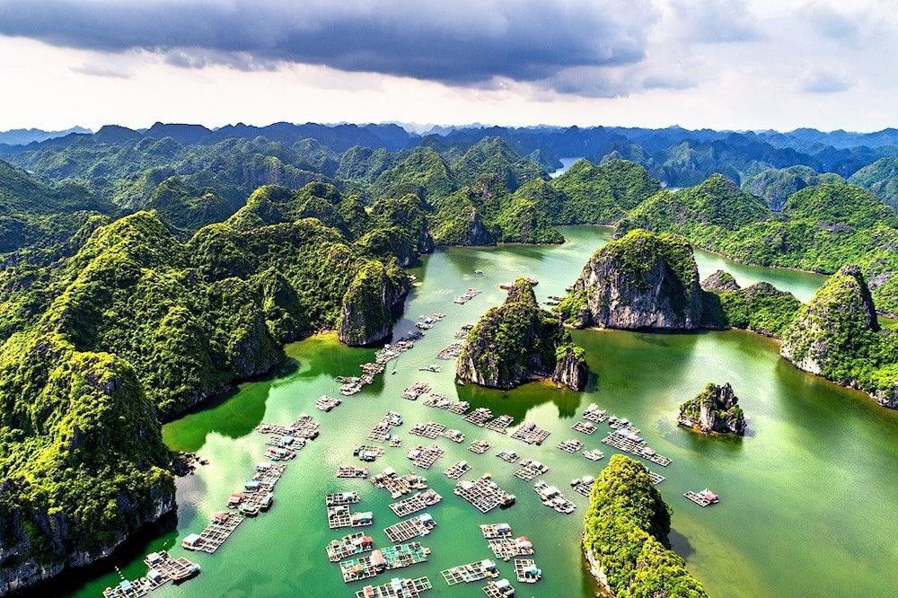 Detailed Review of Indochine Cruise, Lyra Grandeur Cruise & Halong Azura Cruises